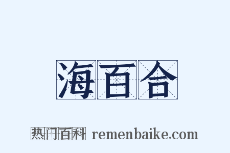 海百合是什么意思的图片